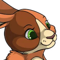 Dutch Harlequin Head female mutation of Lepus