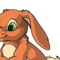 Lop Ears male mutation of Lepus