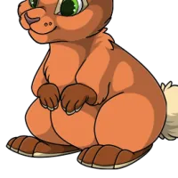 Socks Body male mutation of Lepus