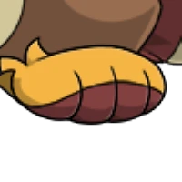 Hazelnut Feet male mutation of undefined