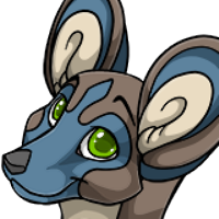 Painted Dog Head male mutation of undefined