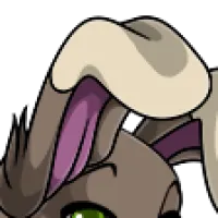 Tipped Bunny Ears female mutation of undefined