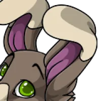 Tipped Bunny Ears male mutation of undefined