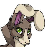 Bicolor Bunny Eared Head female mutation of undefined