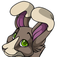 Bicolor Bunny Eared Head male mutation of undefined