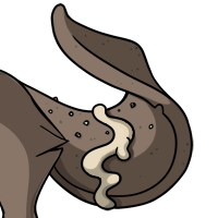 Gingerbread Tail male mutation of undefined