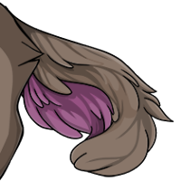 Fluffy Tail male mutation of undefined
