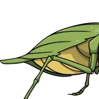 Leaf Abdomen female mutation of undefined