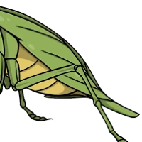 Leaf Abdomen male mutation of undefined
