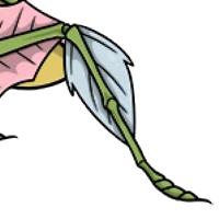 Leaf Legs male mutation of undefined