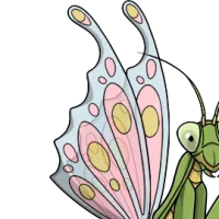 Fairy Forewings female mutation of undefined