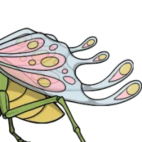 Fairy Hindwings male mutation of undefined