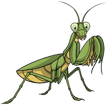 Image of Mantis OviPets