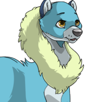 Fur Collar female mutation of Mustela