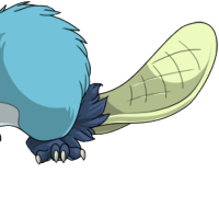 Beaver Tail male mutation of Mustela