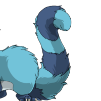 Ringtail male mutation of Mustela