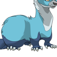 Stocking Body female mutation of Mustela