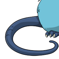 Rat Tail female mutation of Mustela