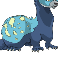 Marbled Body female mutation of Mustela