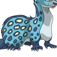 Genet Body female mutation of Mustela