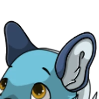 Genet Ears male mutation of Mustela