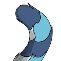 Genet Tail female mutation of Mustela