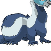 Skunk Body female mutation of Mustela