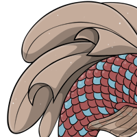 Angel's Dress Dorsal Fin female mutation of undefined