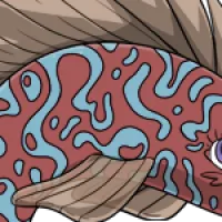 Marbled Body female mutation of undefined