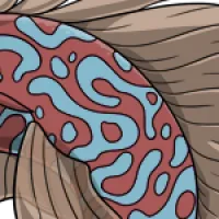 Marbled Body male mutation of undefined