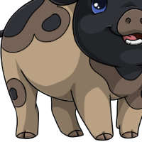 Bicolor Blotched Body female mutation of Porcus