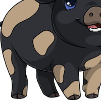 Blotched Body female mutation of Porcus