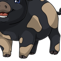 Blotched Body male mutation of Porcus