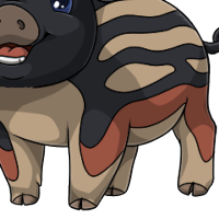 Stripy Body male mutation of Porcus