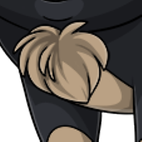 Chest Tuft male mutation of Porcus