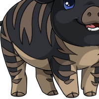 Tabby Body female mutation of Porcus