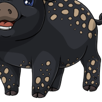 Spotty Body male mutation of Porcus