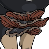 Fungus Chest female mutation of undefined