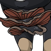 Fungus Chest male mutation of undefined