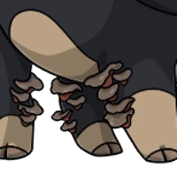 Fungus Leg Tufts female mutation of undefined