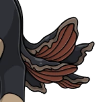 Fungus Tail male mutation of undefined