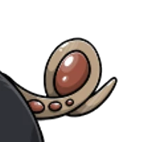 Ornate Tail male mutation of undefined