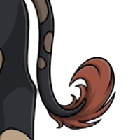 Cow Tail male mutation of Porcus