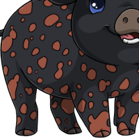 Dalmatian Body female mutation of Porcus