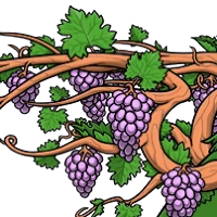 Grape Wings female mutation of undefined
