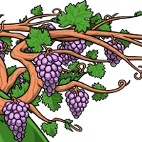 Grape Wings male mutation of undefined