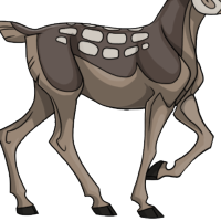 Fallow Body female mutation of undefined
