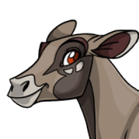 Fallow Head male mutation of undefined