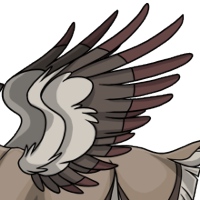 Winter Wings male mutation of undefined