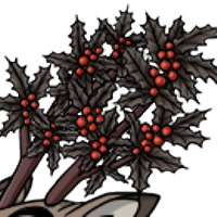 Holly Antlers male mutation of undefined